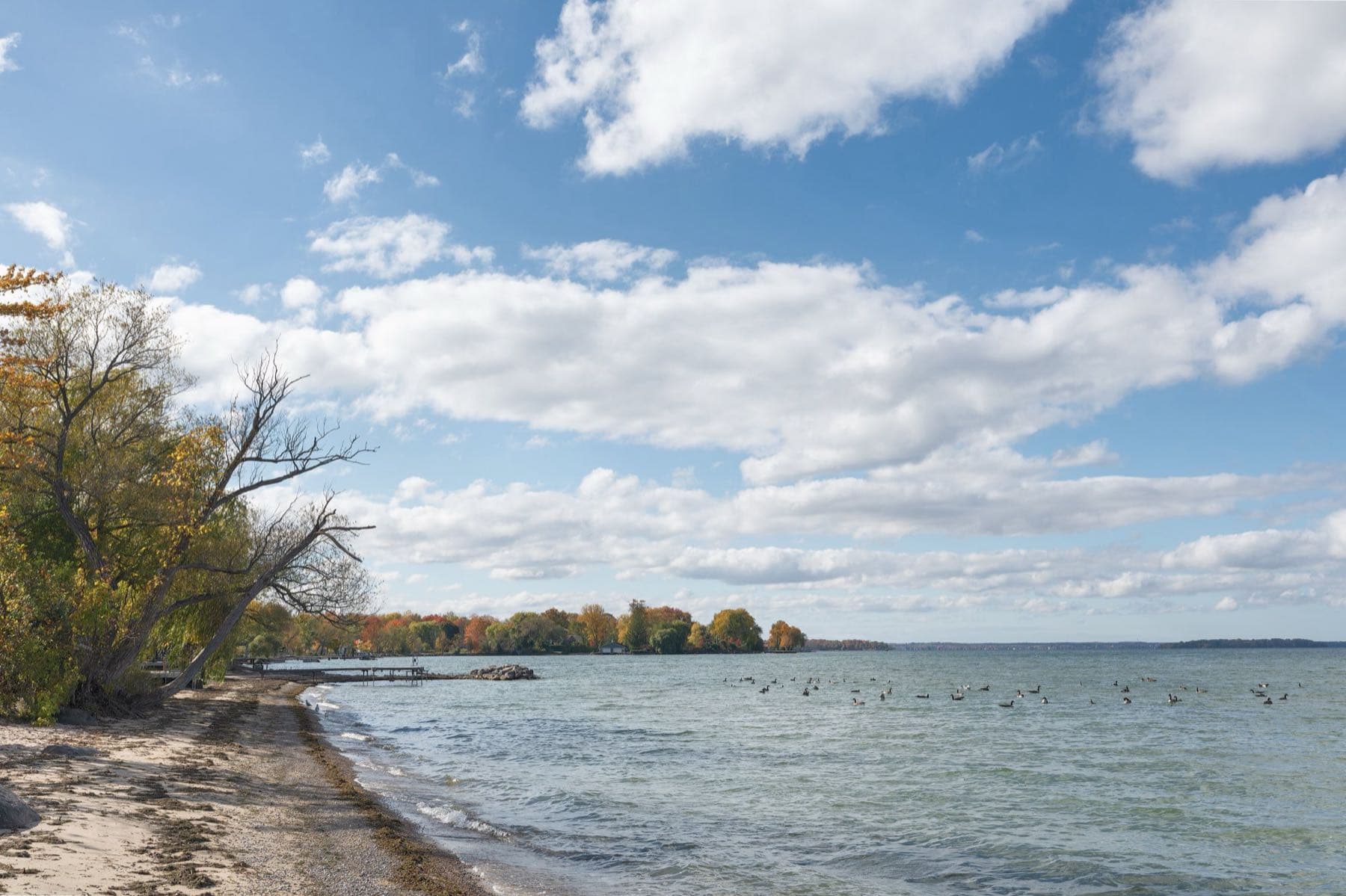 The shore of Lake Simcoe at Willow Beach on a clear autumn day