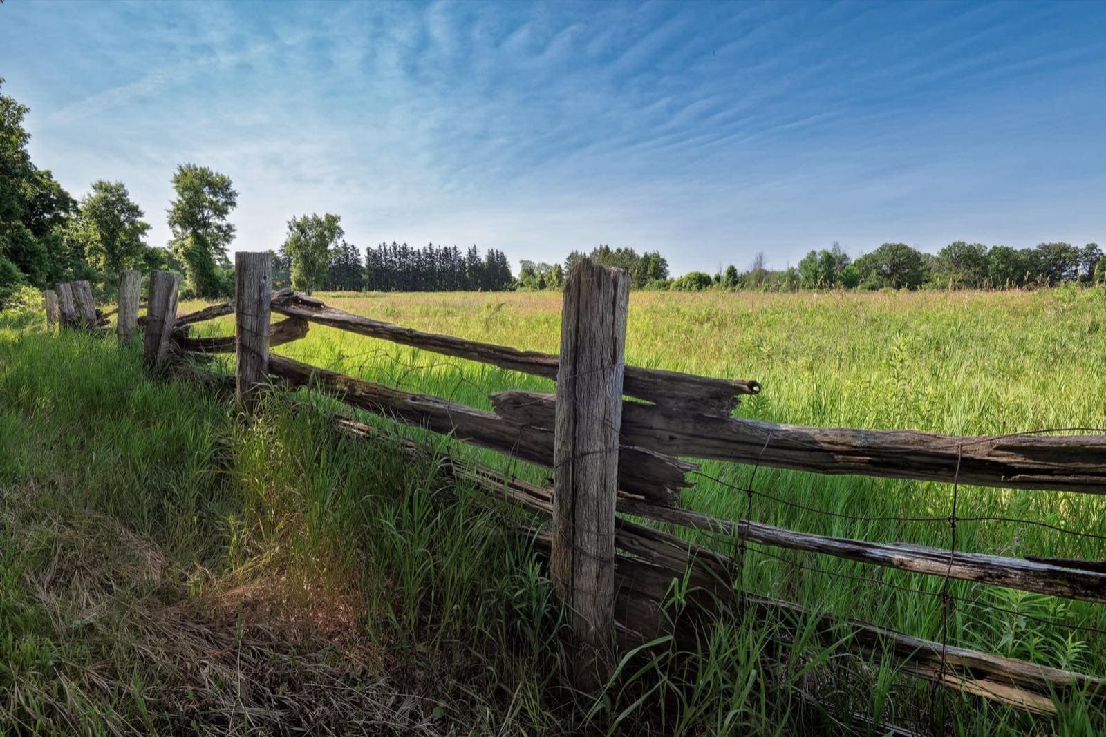 A split-rail fence along a meadow in Bronte Creek Provincial Park