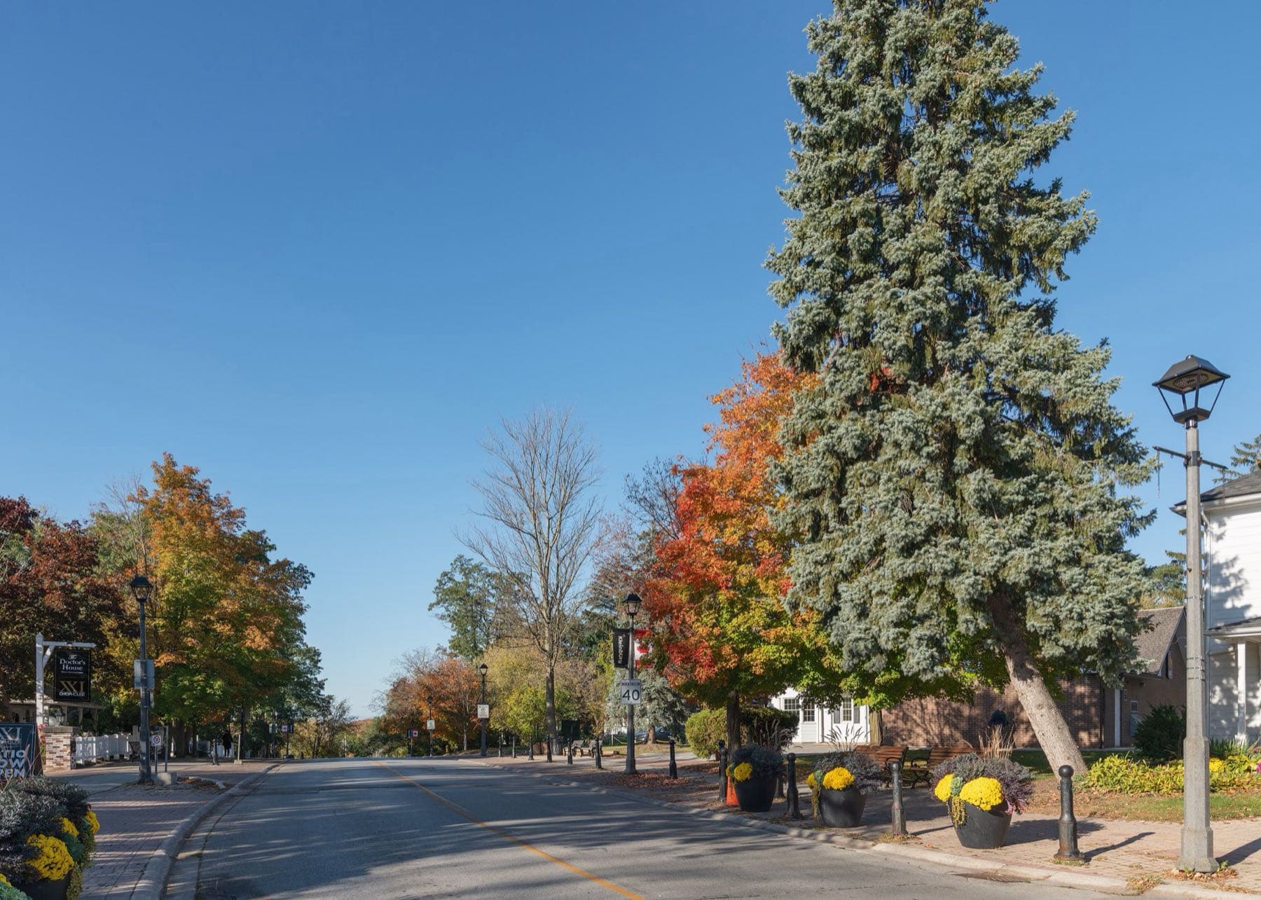 A tree-lined road through the village of Kleinburg in autumn