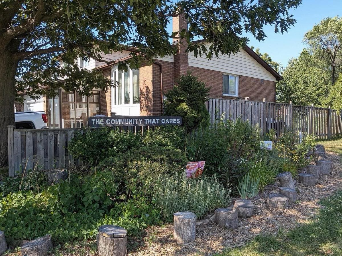 Raised beds and planting in a community garden
