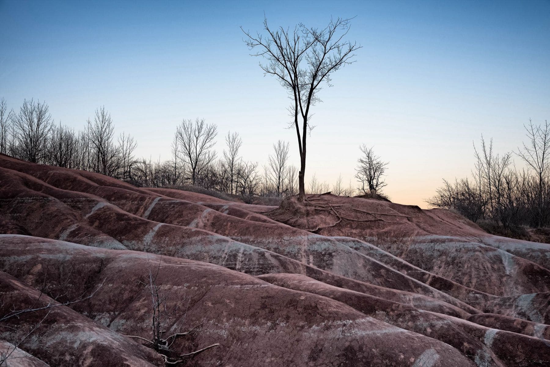 The red shale hills of the Cheltenham Badlands under a low sun