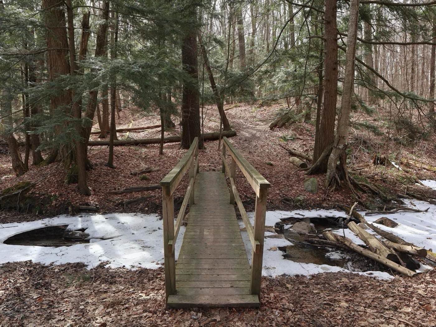 A wooden footbridge over a stream in the Happy Valley Forest