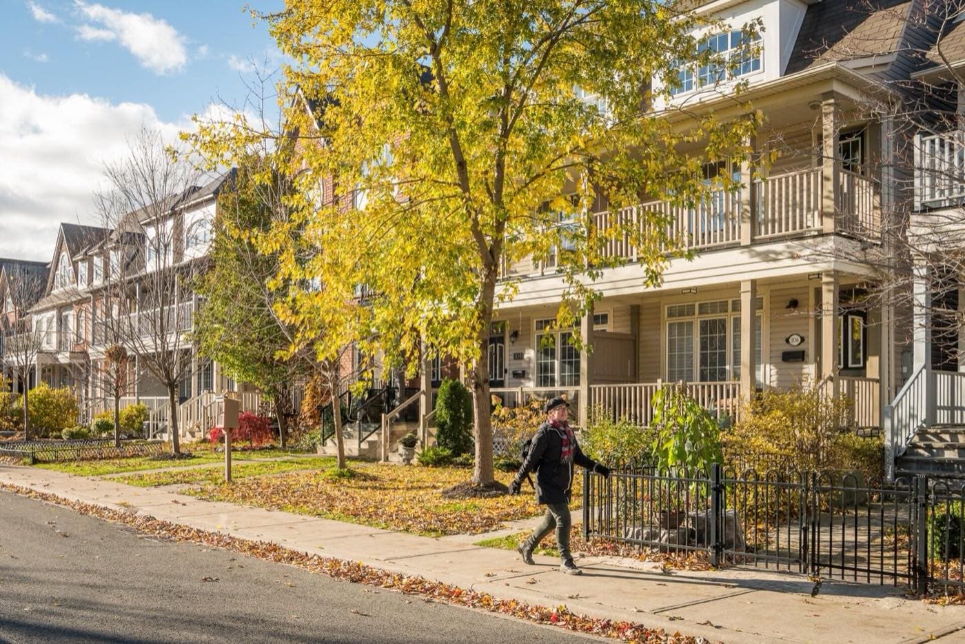 Houses and low apartment buildings along a leafy street